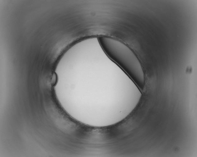 X0000112540064200909141322