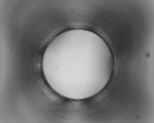 X0000112540065200909141322