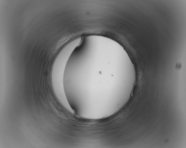 X0000112540068200909141322