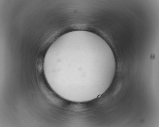 X0000112540069200909141322