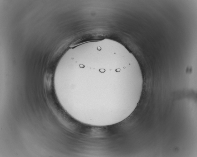 X0000112540070200909141322