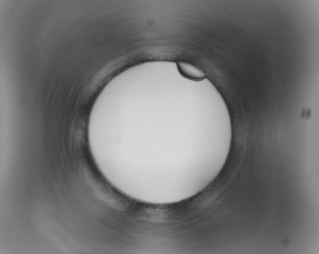 X0000112540071200909141322