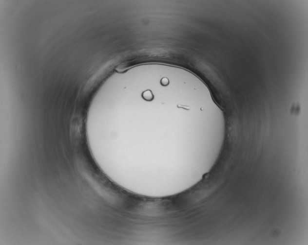 X0000112540072200909141322