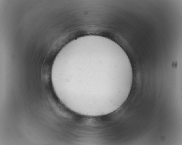 X0000112540074200909141322
