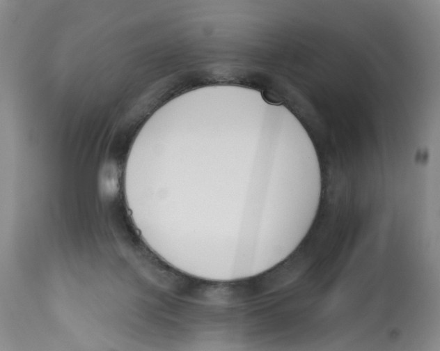 X0000112540075200909141322
