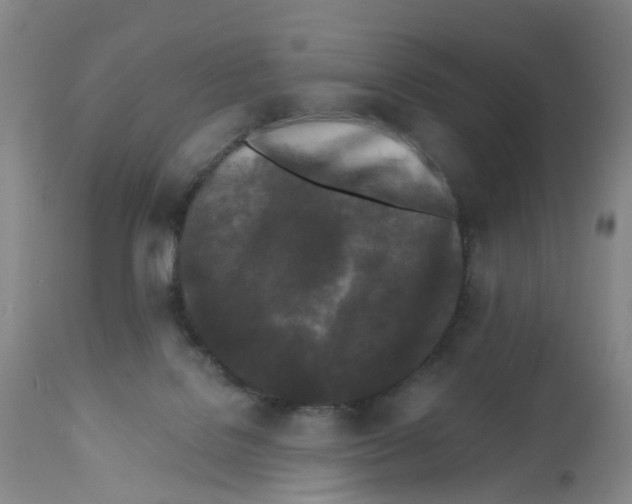 X0000112540076200909141322