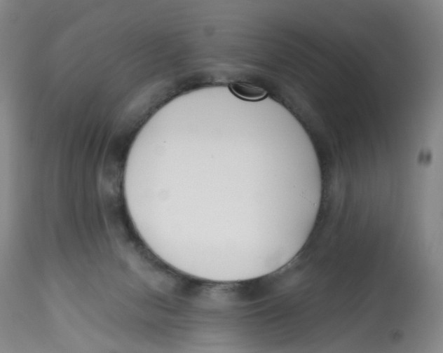 X0000112540078200909141322