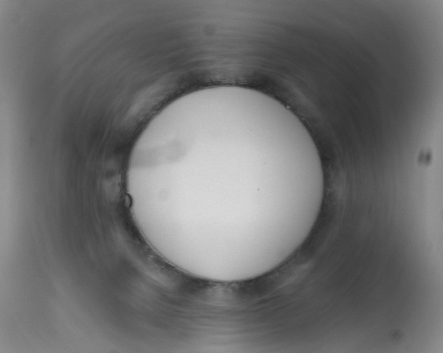 X0000112540080200909141322