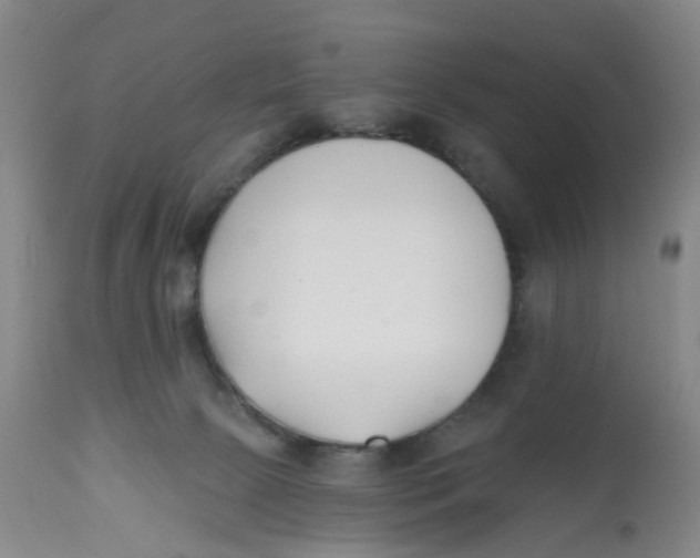 X0000112540081200909141322