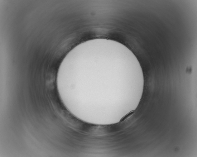 X0000112540082200909141322