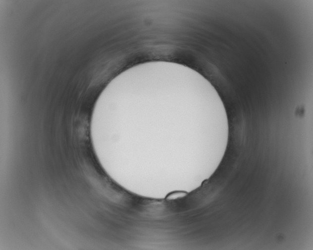 X0000112540083200909141322