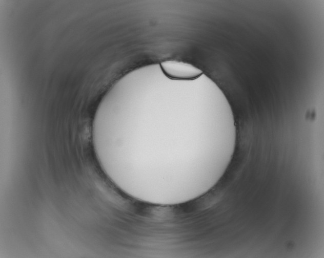 X0000112540085200909141322