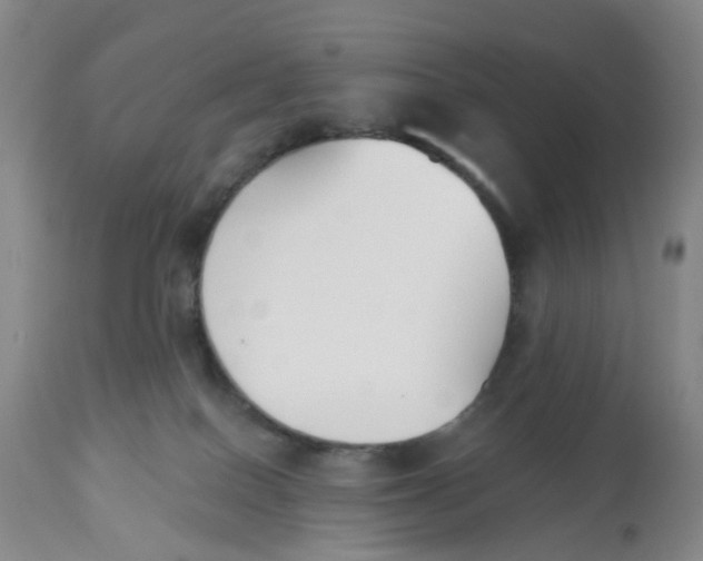 X0000112540086200909141322