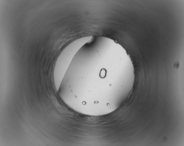 X0000112540088200909141322