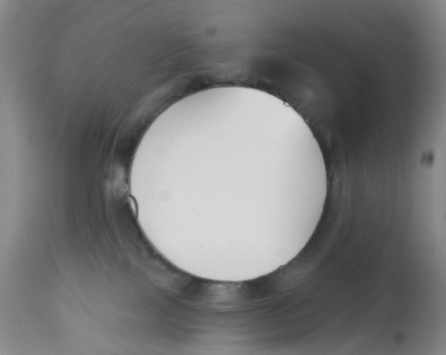 X0000112540089200909141322