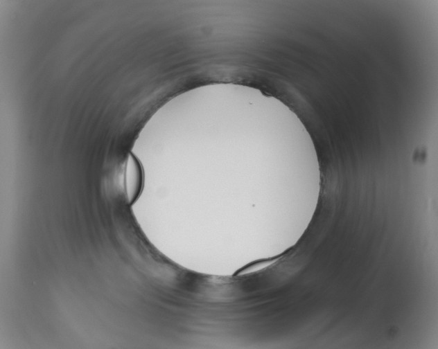X0000112540095200909141322