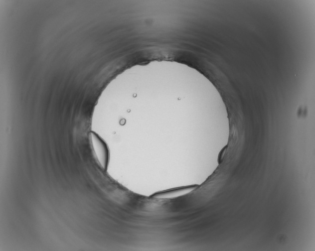X0000112540096200909141322