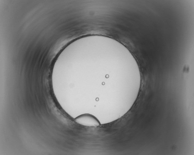 X0000112540098200909141321
