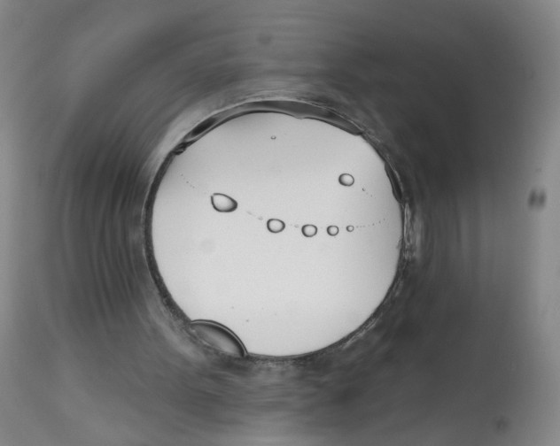X0000112540099200909141321