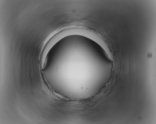 X0000112540100200909141321