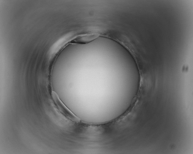 X0000112540101200909141321
