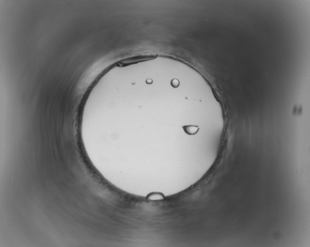 X0000112540103200909141321