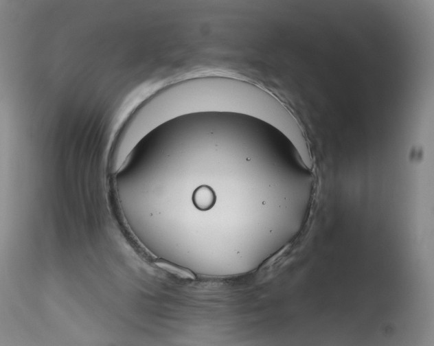 X0000112540104200909141321