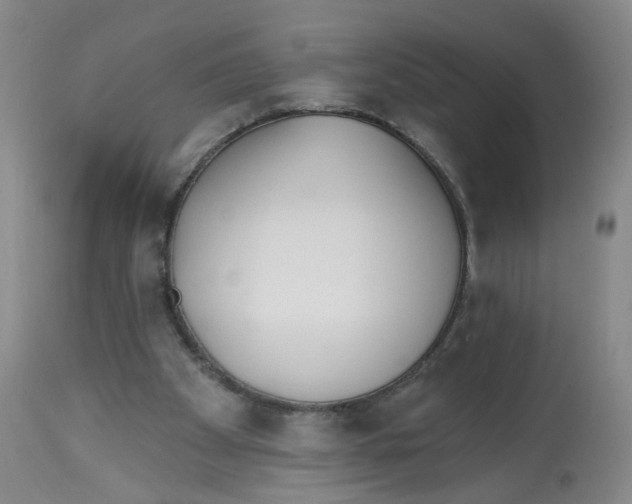 X0000112540105200909141321
