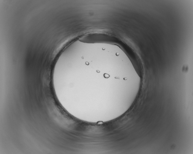 X0000112540107200909141321