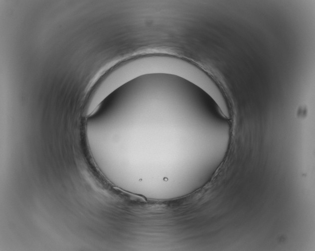 X0000112540108200909141321