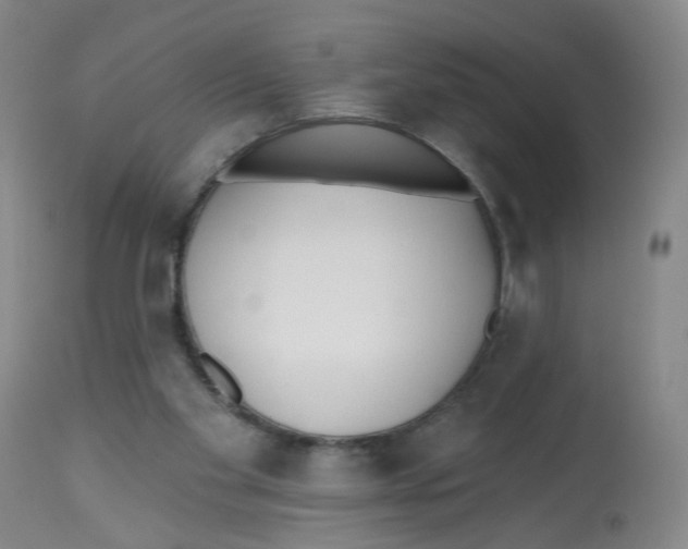 X0000112540109200909141321