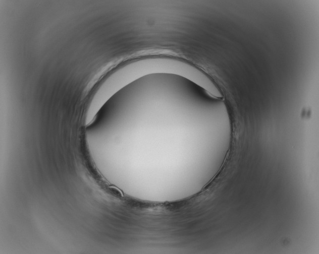 X0000112540112200909141321