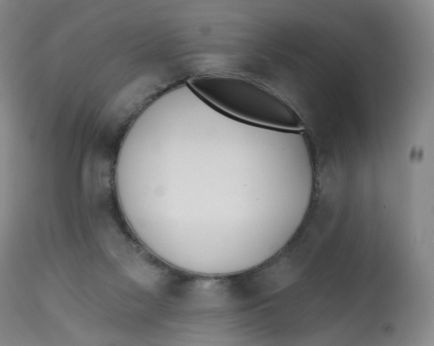 X0000112540117200909141321