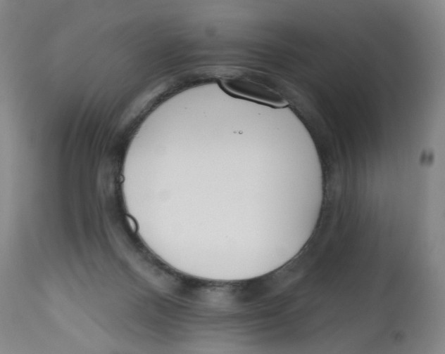 X0000112540120200909141321