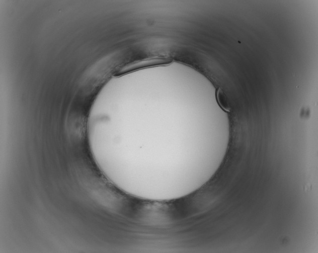 X0000112540125200909141321