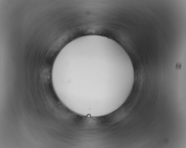 X0000112540127200909141321