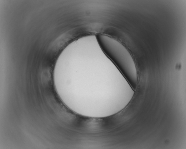 X0000112540128200909141321