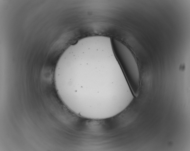 X0000112540129200909141321
