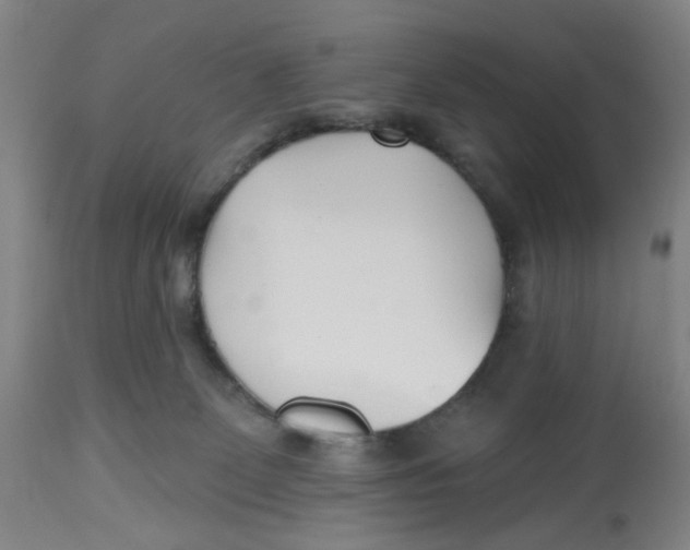 X0000112540131200909141321