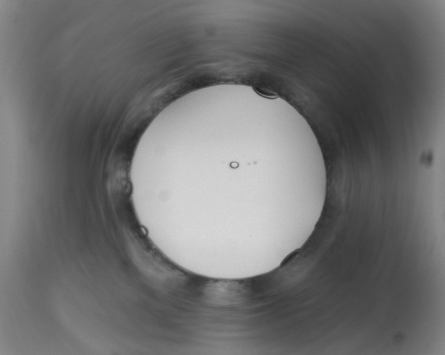 X0000112540137200909141321