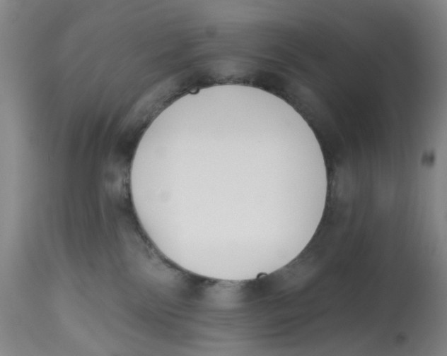 X0000112540138200909141321