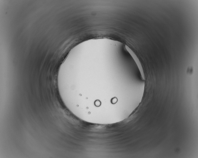 X0000112540140200909141321