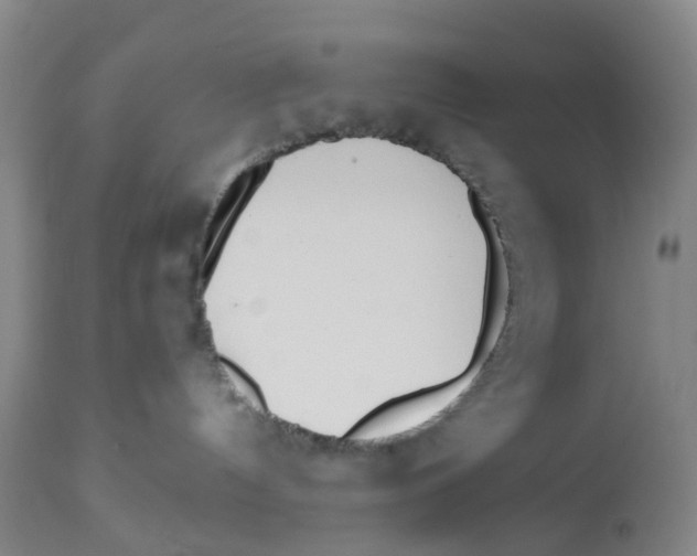 X0000112540144200909141321