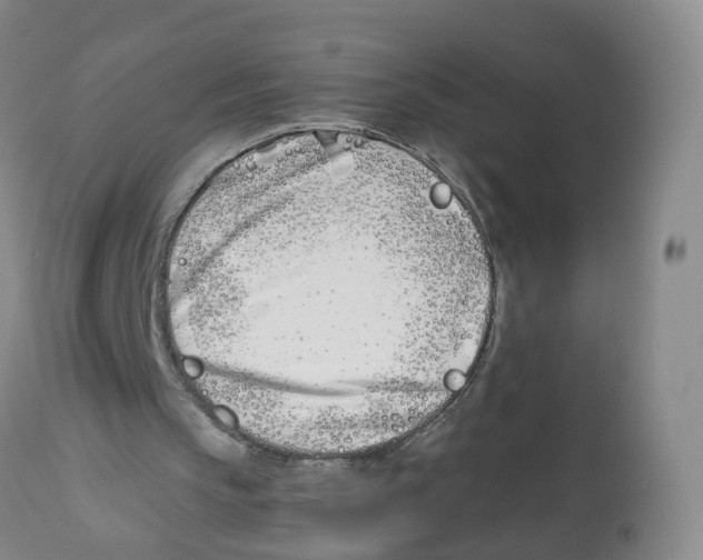 X0000112540145200909141320