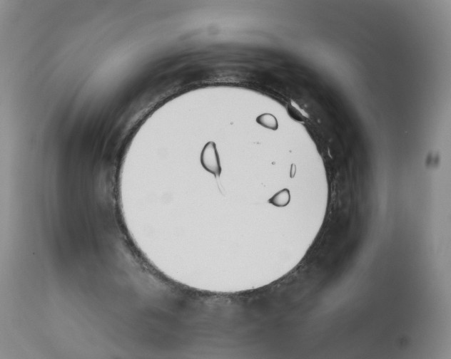 X0000112540146200909141320