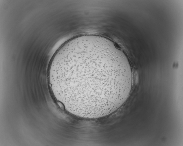 X0000112540147200909141320