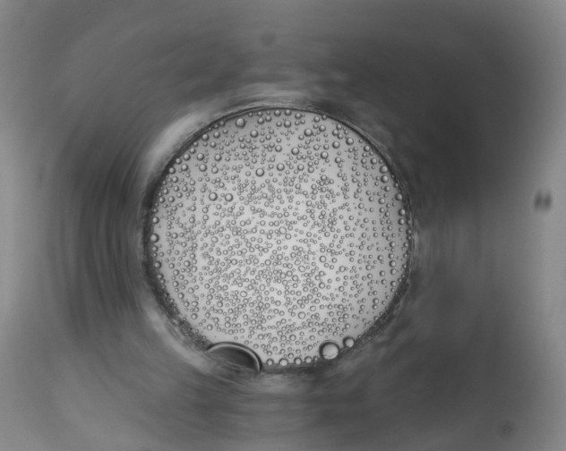 X0000112540149200909141320