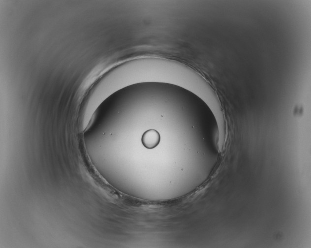 X0000112540150200909141320
