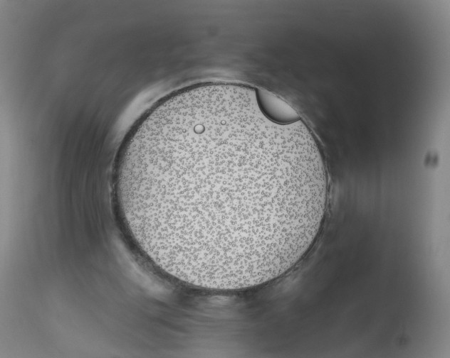 X0000112540151200909141320