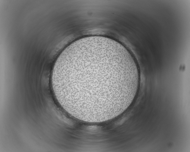 X0000112540153200909141320